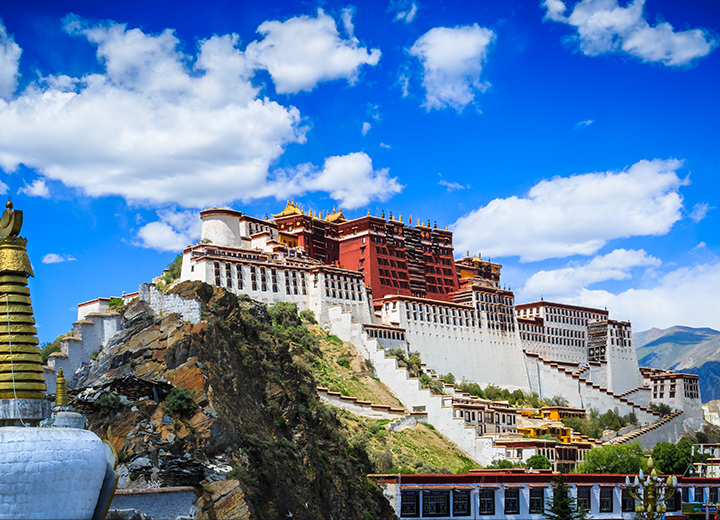 ���_���m